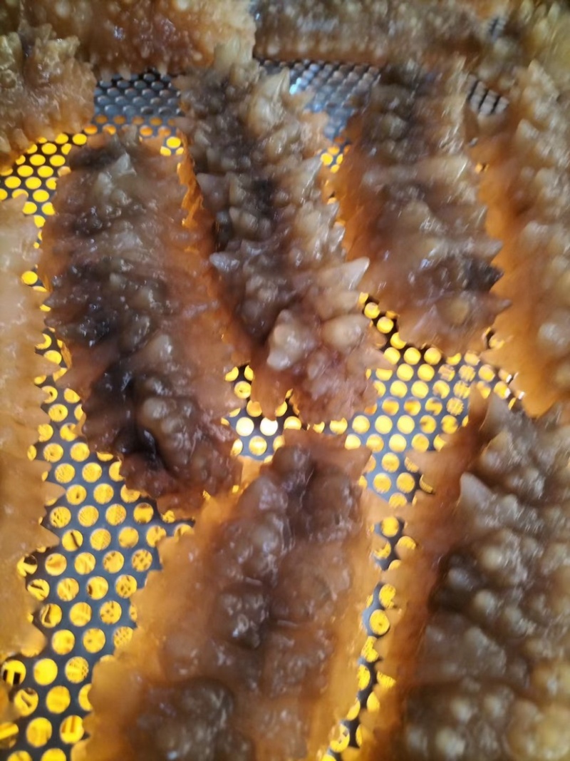 北部湾新鲜速冻黄玉参