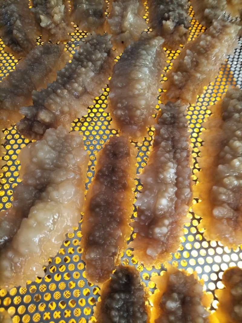 北部湾新鲜速冻黄玉参