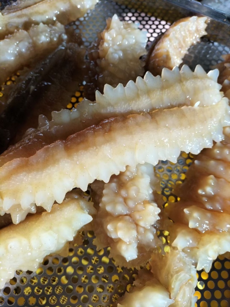 北部湾新鲜速冻黄玉参