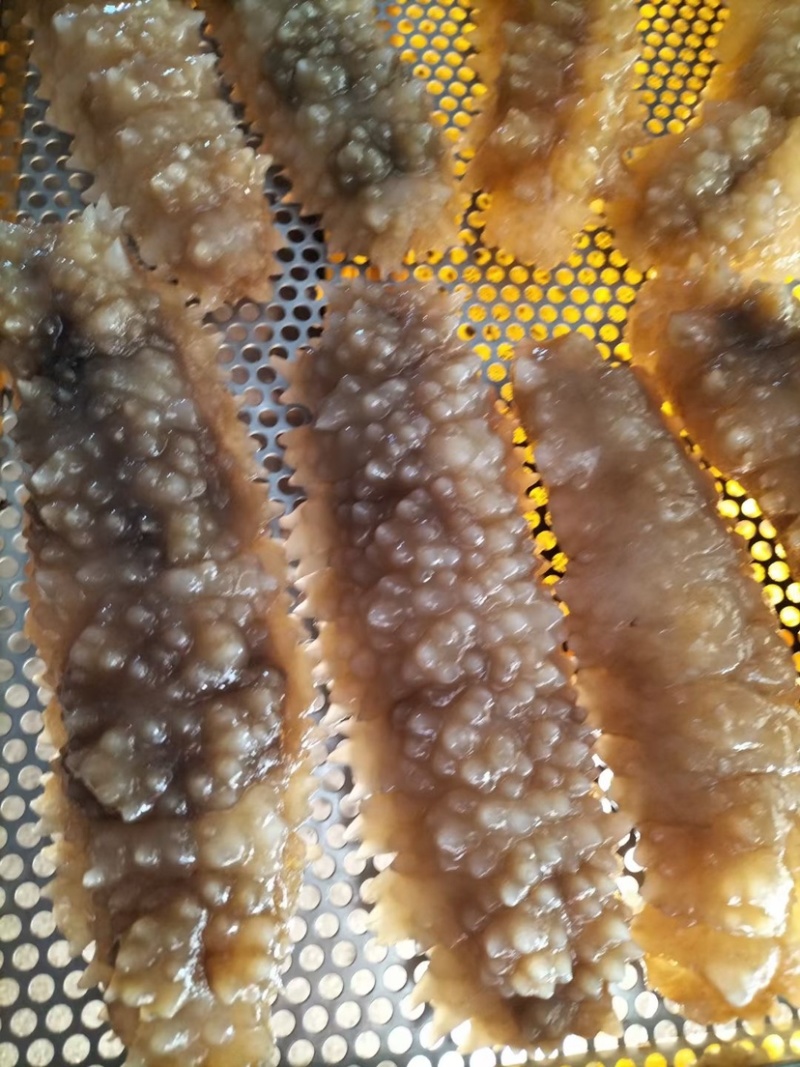 北部湾新鲜速冻黄玉参