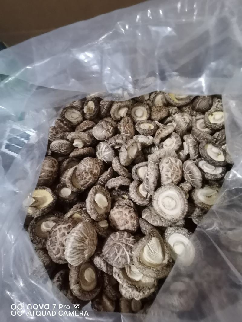 干香菇