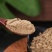 现磨藁本粉超细破壁纯粉高品质食用中药材蒿本特级正品
