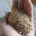 厂家直发优质豆粕牛羊猪饲料大量现货质优价廉量大从优