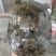 外塘冷水池精品黑花黄花青花甲鱼仿野花公鱼脚鱼团鱼水鱼