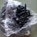 控根器专用塑料卡扣，限根器专用塑料卡扣，控根器专用塑卡扣