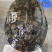 外塘冷水池精品黑花黄花青花甲鱼仿野花公鱼脚鱼团鱼水鱼