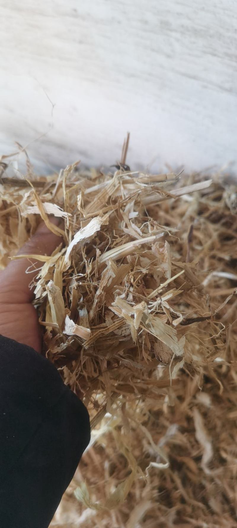 玉米桔秆草揉丝，无土无膜，量大从优，全国发货