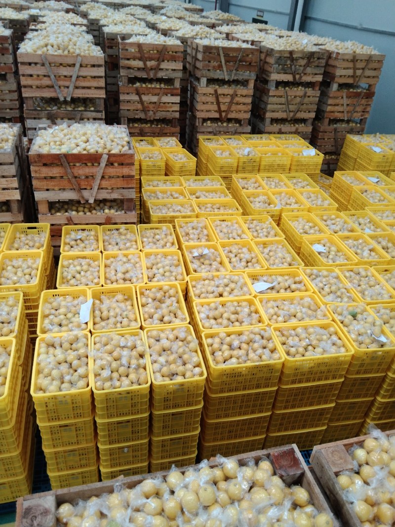 潼南柠檬，一年四季有货，量大的来，价格面议，