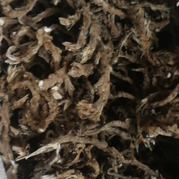 石菖蒲干货，野生品质统货