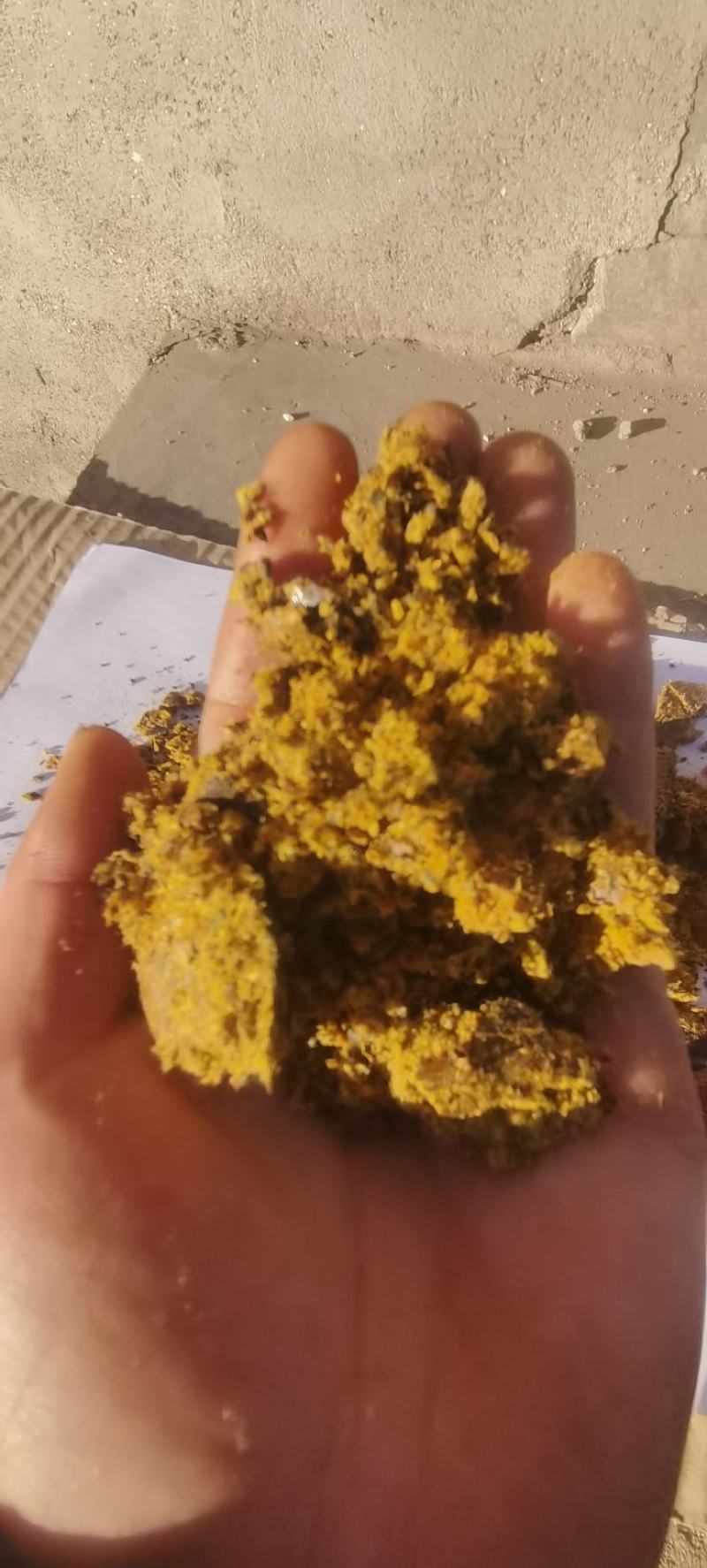 厂家直发棉饼牛羊饲料量大优惠质量保证欢迎咨询选购