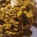 厂家直发棉饼牛羊饲料量大优惠质量保证欢迎咨询选购