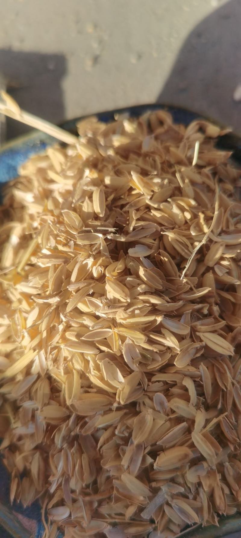 厂家直发稻壳酿酒用稻壳，填充稻壳饲料稻壳