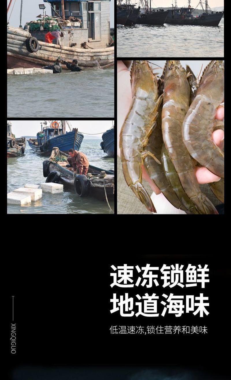 新鲜大虾海虾海捕白虾冷冻小虾青岛基围虾青虾海鲜多规格包邮