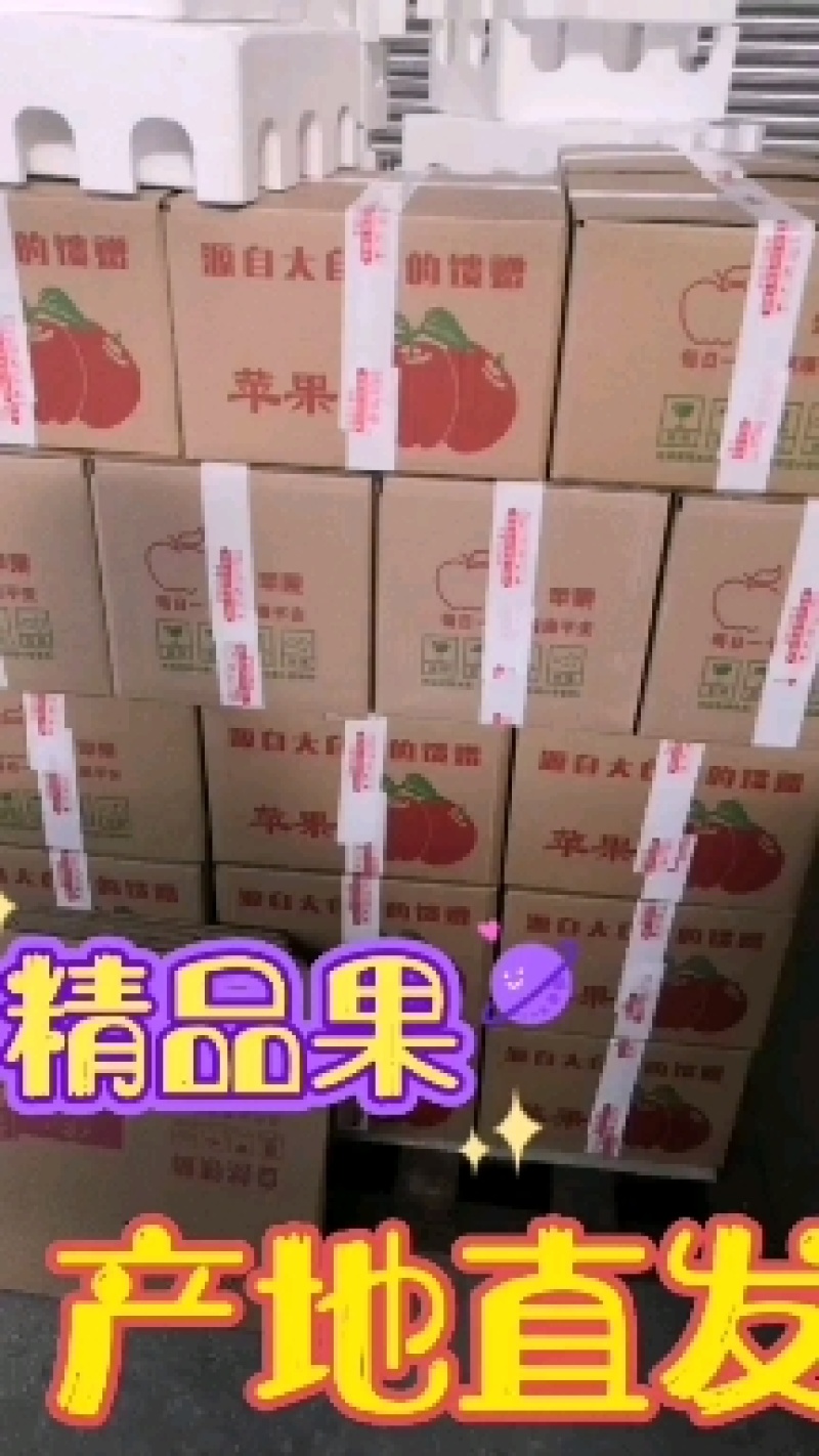 栖霞红富士苹果，产地直发，货源充足，诚信合作，电商代发
