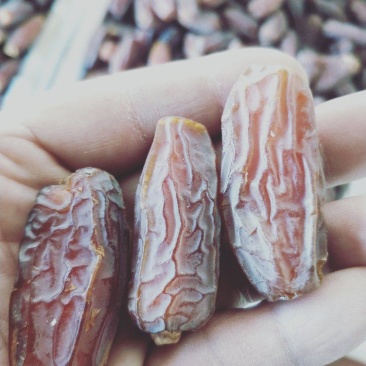 沙特阿拉伯椰枣特级麦蒂娜玛布隆椰枣十公斤整箱批发