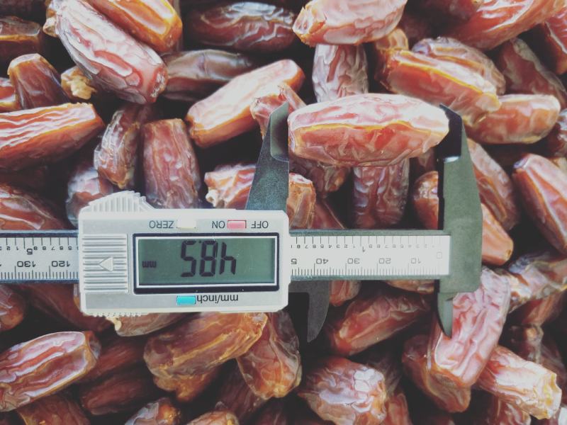 沙特阿拉伯椰枣特级麦蒂娜玛布隆椰枣十公斤整箱批发