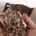 野生陆英根走马箭八棱麻根接骨草根走马风八里麻排风藤根部