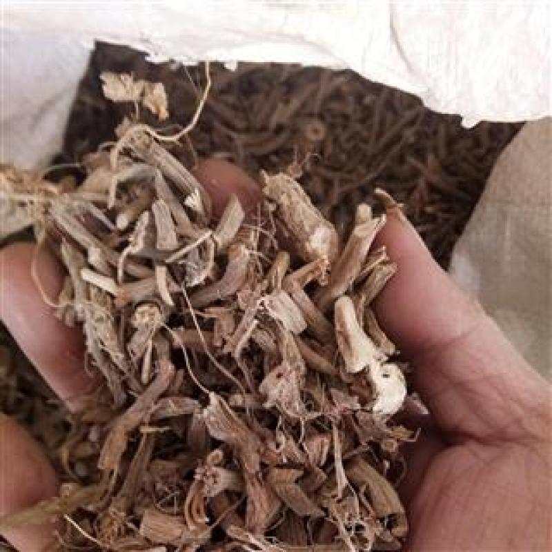 野生陆英根走马箭八棱麻根接骨草根走马风八里麻排风藤根部