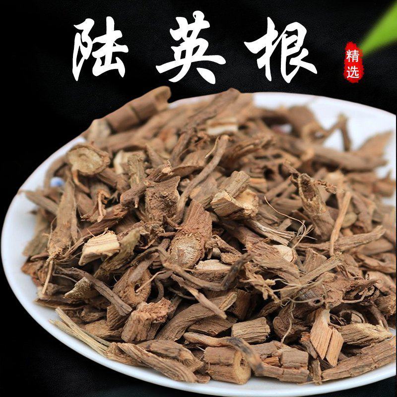 野生陆英根走马箭八棱麻根接骨草根走马风八里麻排风藤根部