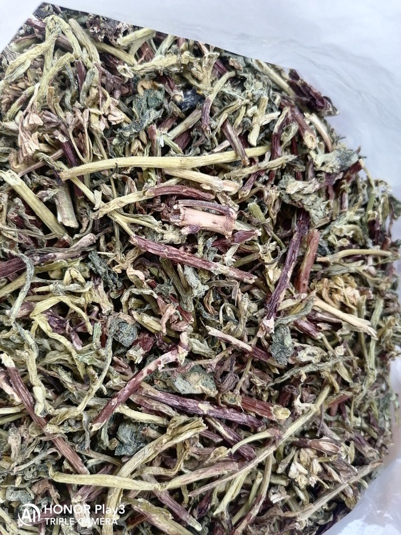 热销景天三七，救心菜