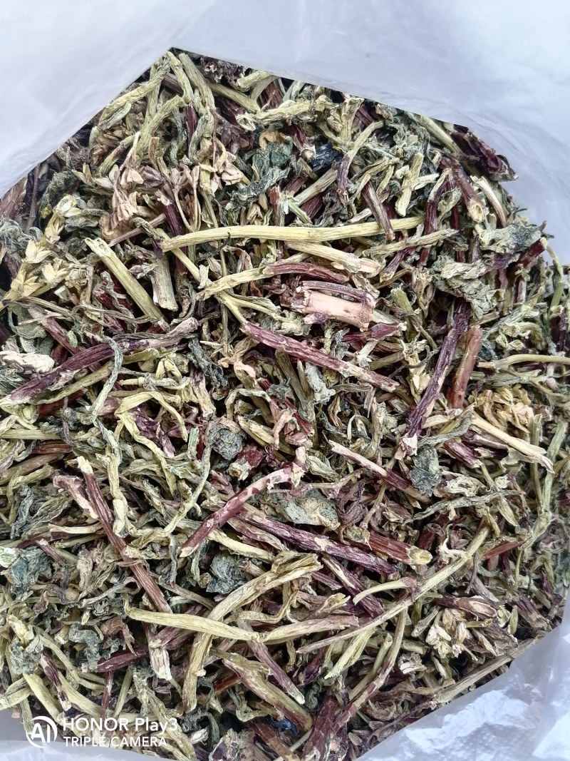 热销景天三七，救心菜
