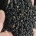 补骨脂～故芷～1公斤起售～量大从优～货源充足～质量保证