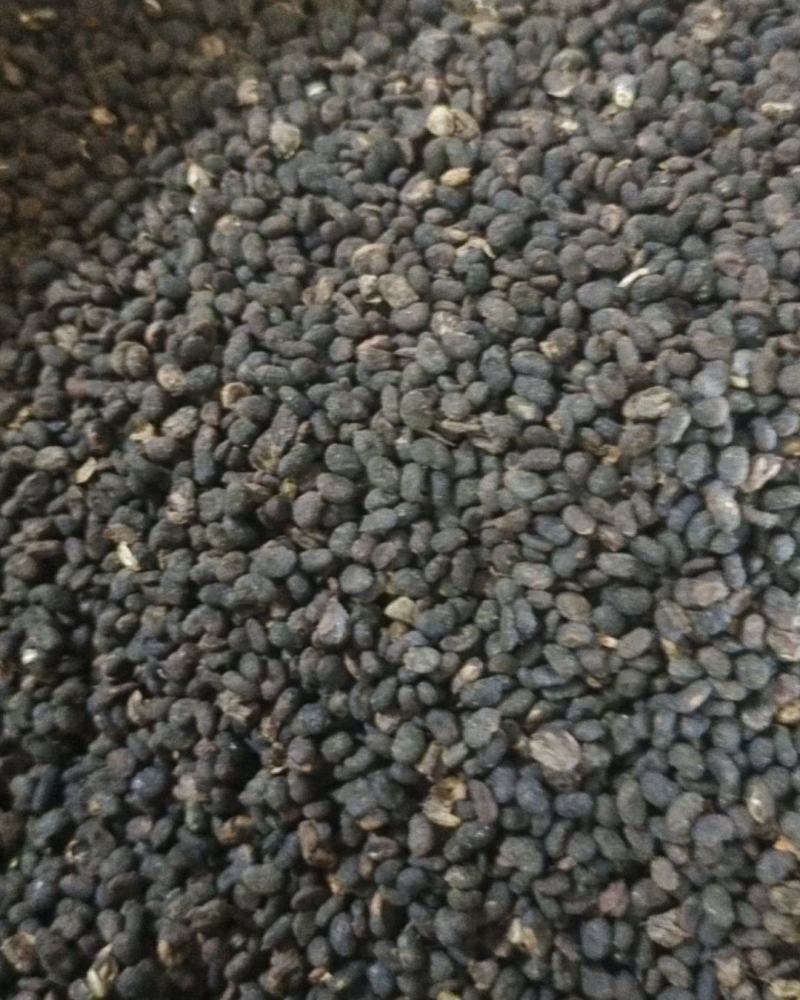 补骨脂～故芷～1公斤起售～量大从优～货源充足～质量保证