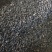 补骨脂～故芷～1公斤起售～量大从优～货源充足～质量保证