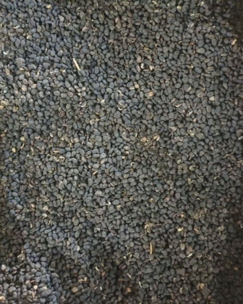 补骨脂～故芷～1公斤起售～量大从优～货源充足～质量保证