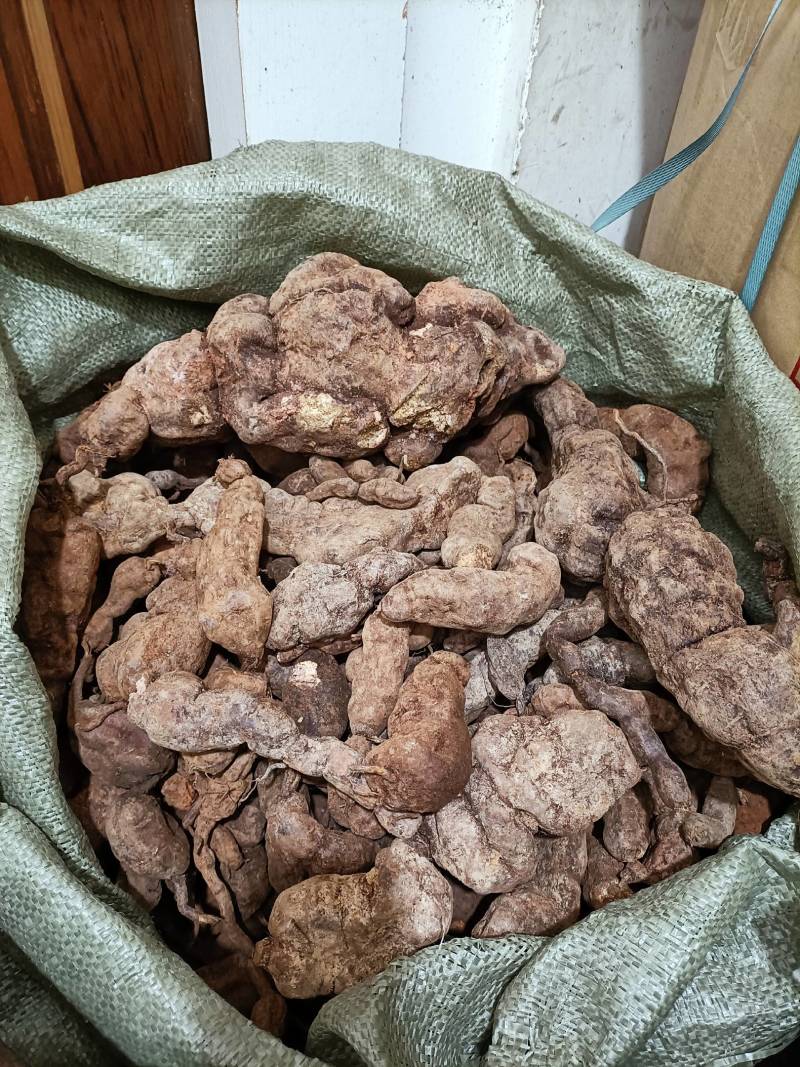 何首乌，一首货原，品质保证量大从优