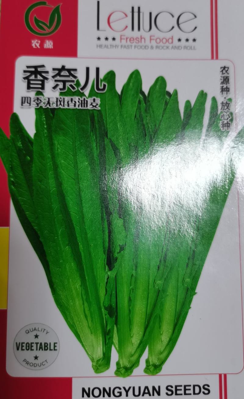 油麦菜种籽，香油麦，四季香，满园香油麦菜种籽，