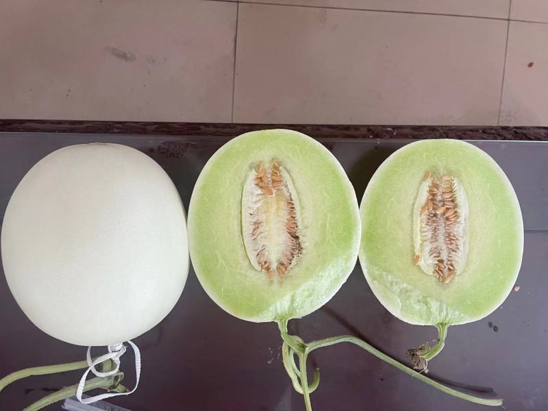 海南精品晓密
