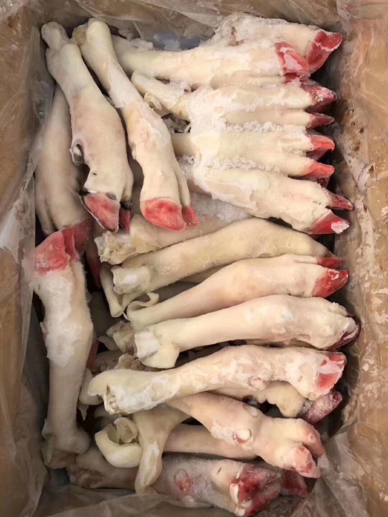 羊蹄
