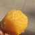 纽荷尔脐橙，中华红脐橙，长虹脐橙，圆红脐橙，九月红脐橙。