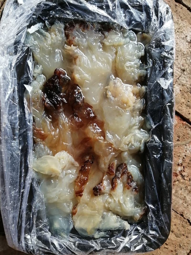 海蜇头，场地直发，一手货源，全国发货，质量有保障
