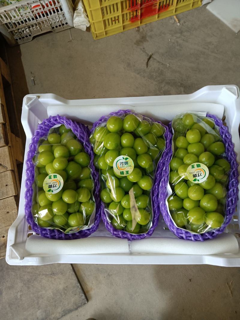 【阳光玫瑰】精品阳光玫瑰葡萄，颗粒大，口感好，欢迎联系