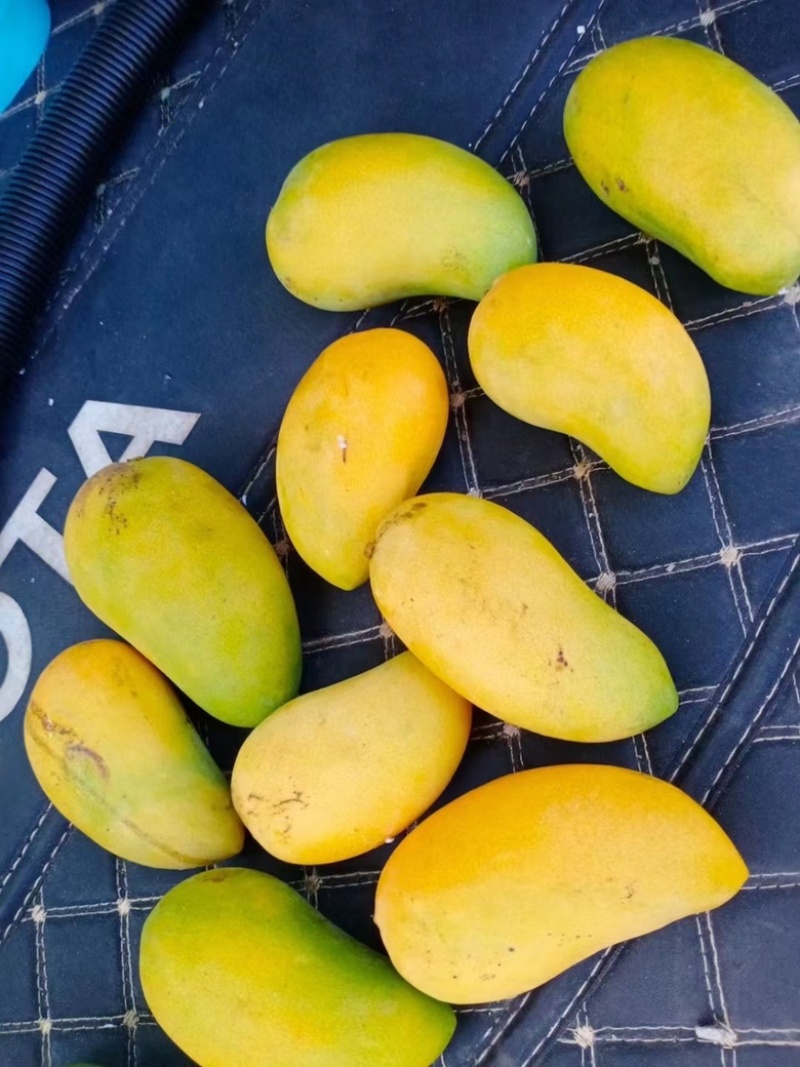 海南小台农产地一件代发，对接电商发货