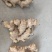 云南建水小黄姜生姜大量上市，一手货源，需要的请来电咨询