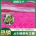 芝樱供应商花海用芝樱绿化专用芝樱芝樱出售芝樱卖家