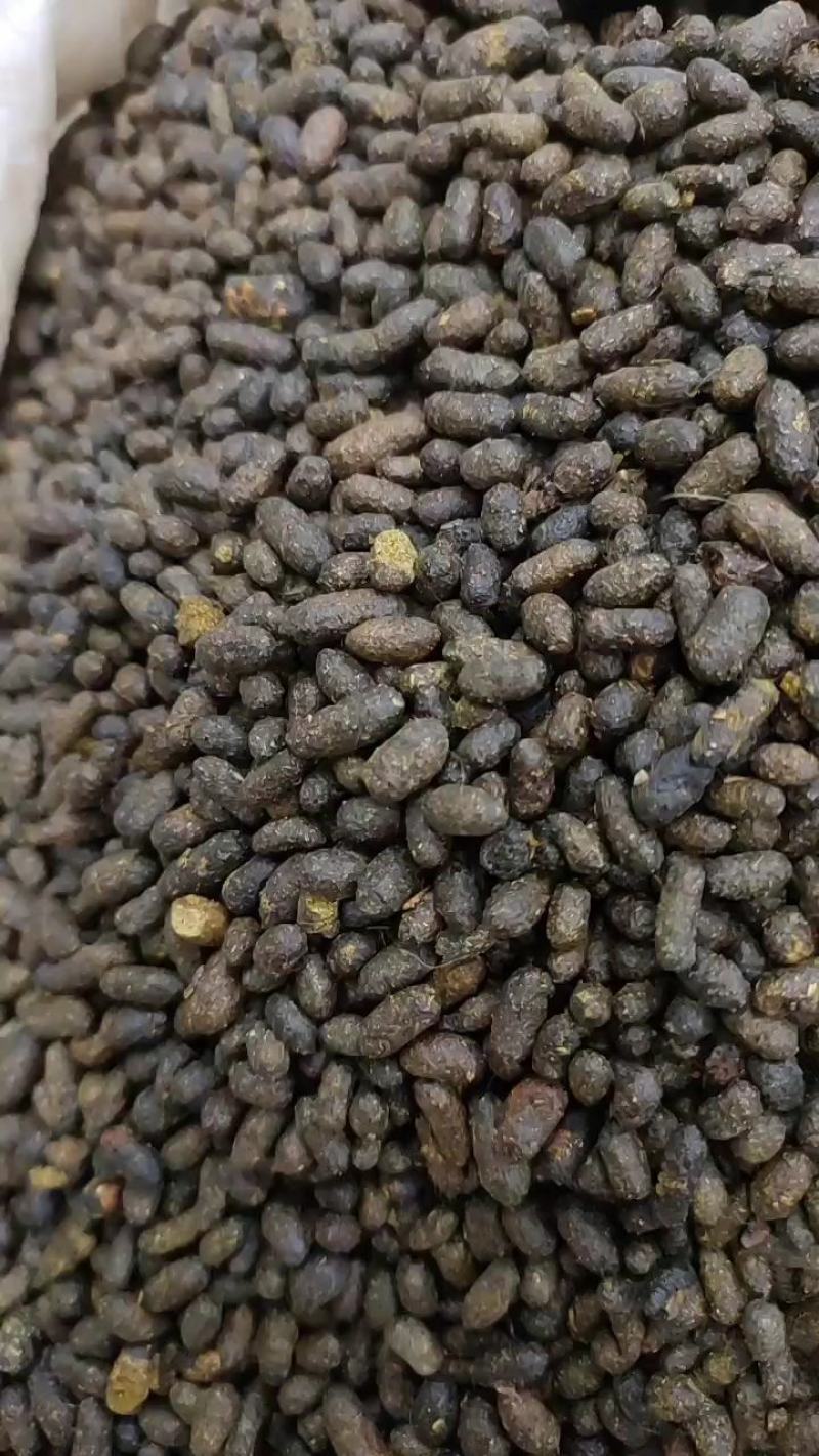 五灵脂干货药用散装批发老鼠屎无杂质净货