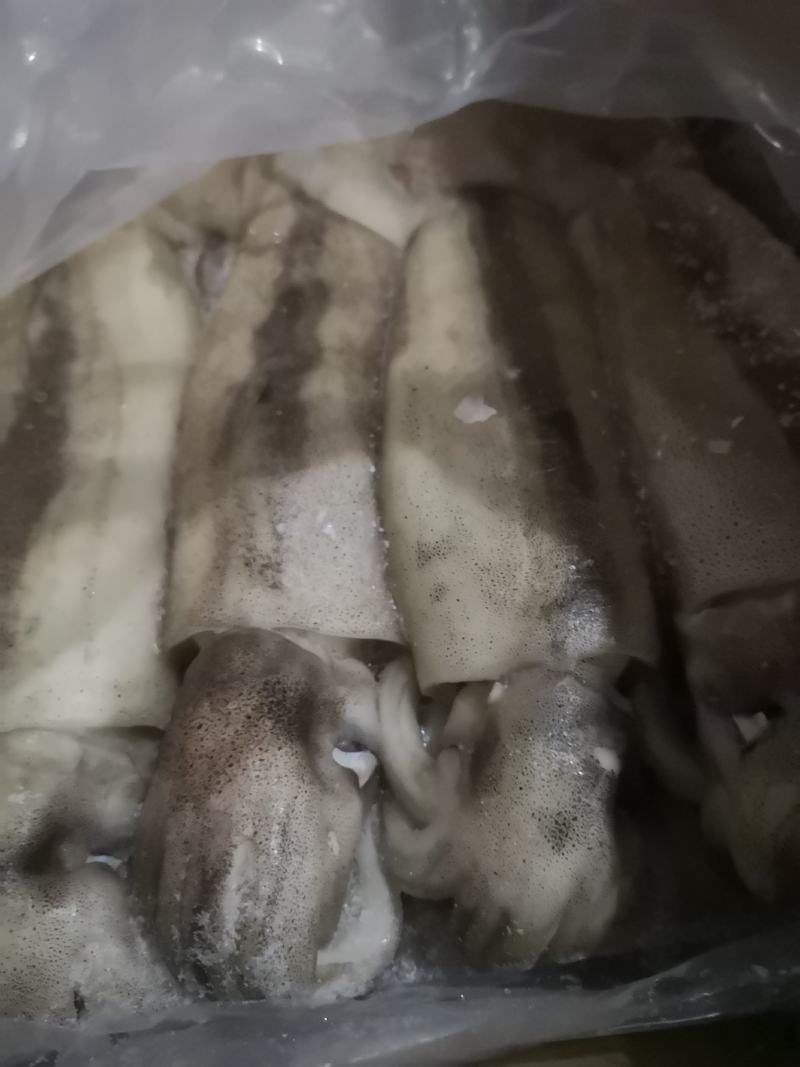 鱿鱼原料