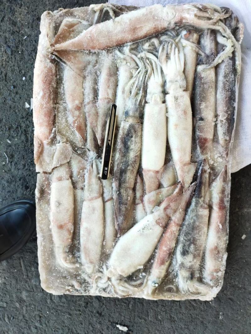 鱿鱼原料