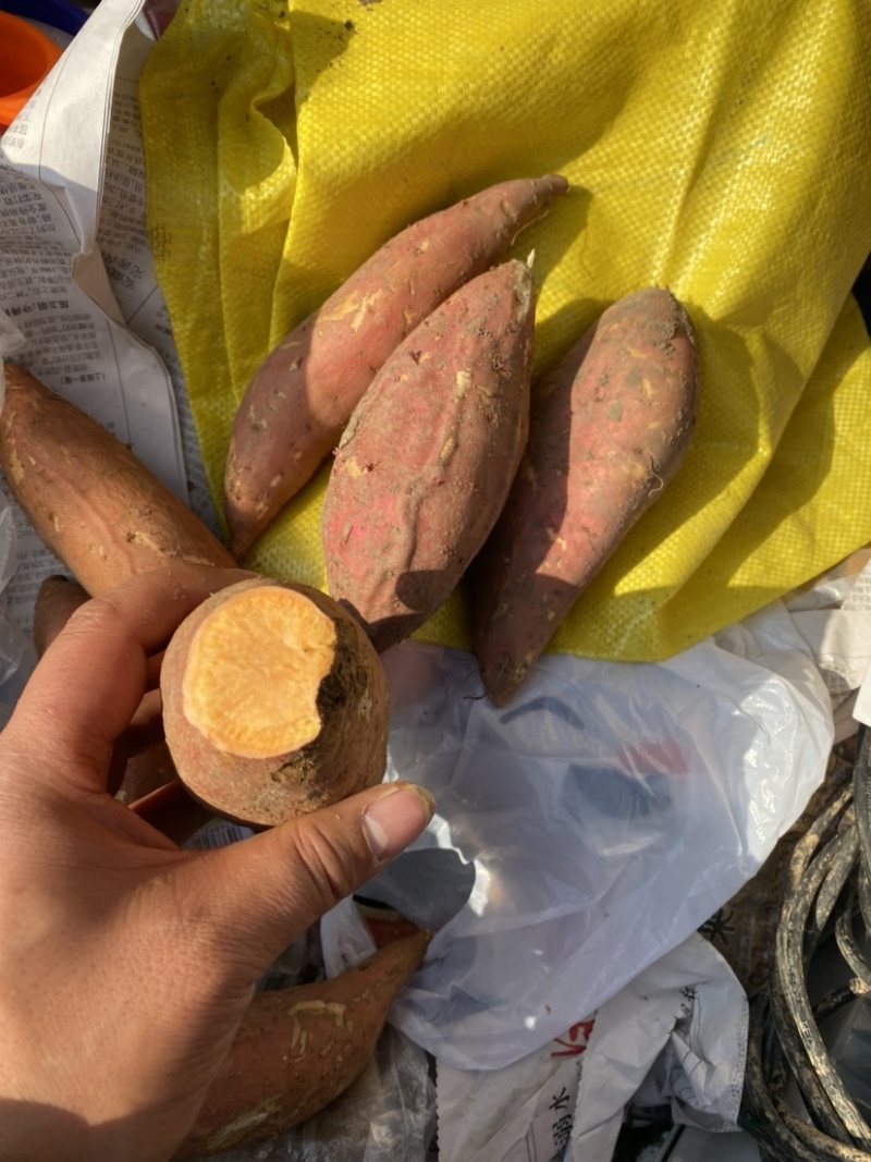 精品烤蜜薯烟25产地直销