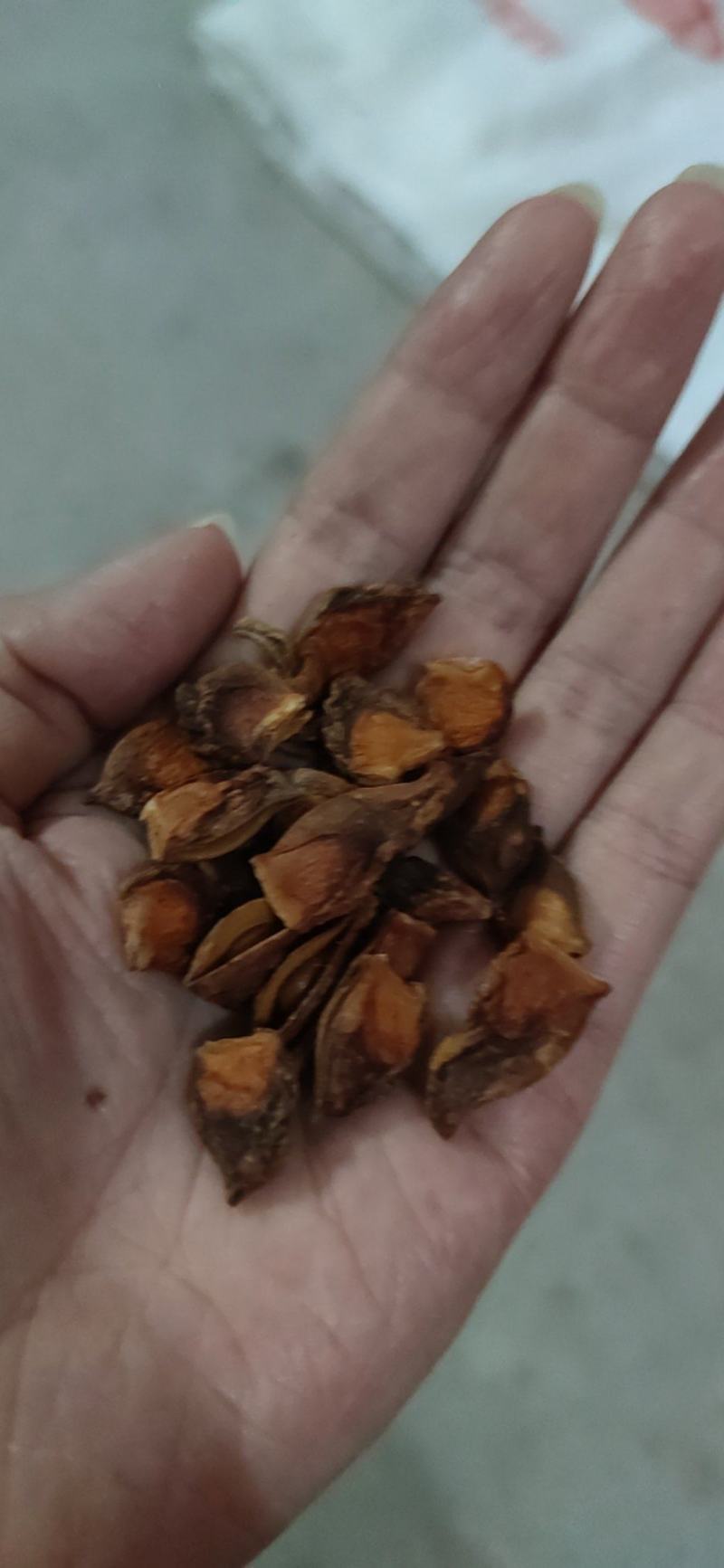 大红八角碎片，干枝八角碎片，小果八角碎片，打粉专用八角梗
