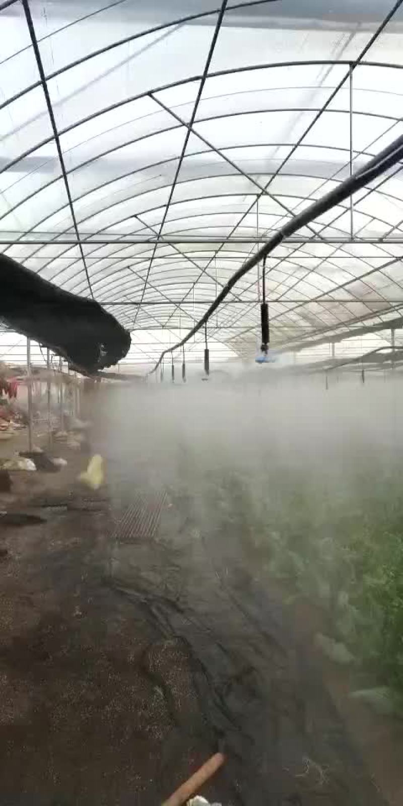 微喷头喷头大棚微喷吊挂微喷头草莓喷灌旋转喷头