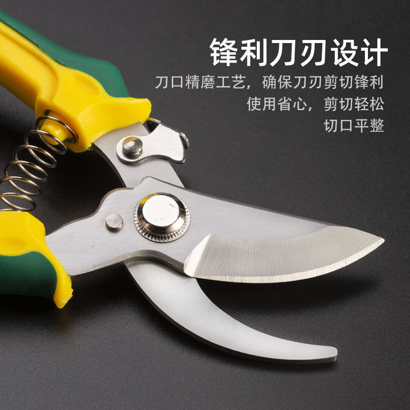 园艺修枝剪不绣钢花卉摘果专用花艺果树粗枝剪子家用园林大剪