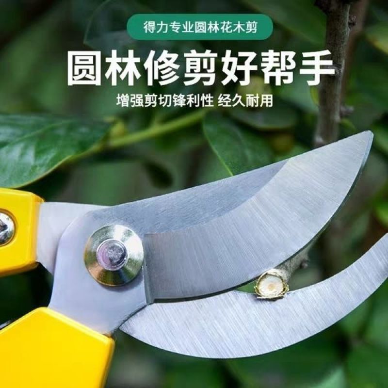 园艺修枝剪不绣钢花卉摘果专用花艺果树粗枝剪子家用园林大剪