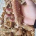皮皮虾鲜活虾姑虾爬子超特大批发海鲜海虾新鲜蒸熟全母带膏皮