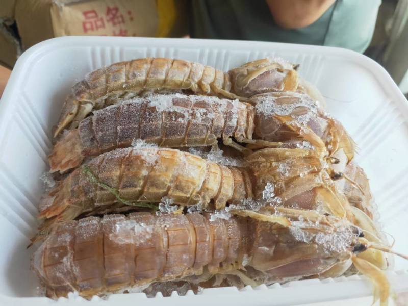皮皮虾鲜活虾姑虾爬子超特大批发海鲜海虾新鲜蒸熟全母带膏皮