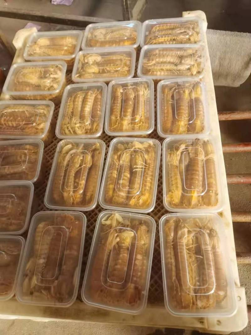 皮皮虾鲜活虾姑虾爬子超特大批发海鲜海虾新鲜蒸熟全母带膏皮